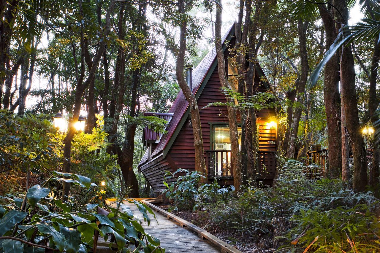 The Mouses House Rainforest Retreat Springbrook Exterior foto